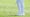 justin thomas chips off the green