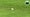 embedded ball
