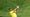 Jason Day