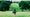 Golfer walks down the middle of a fairway at a golf course