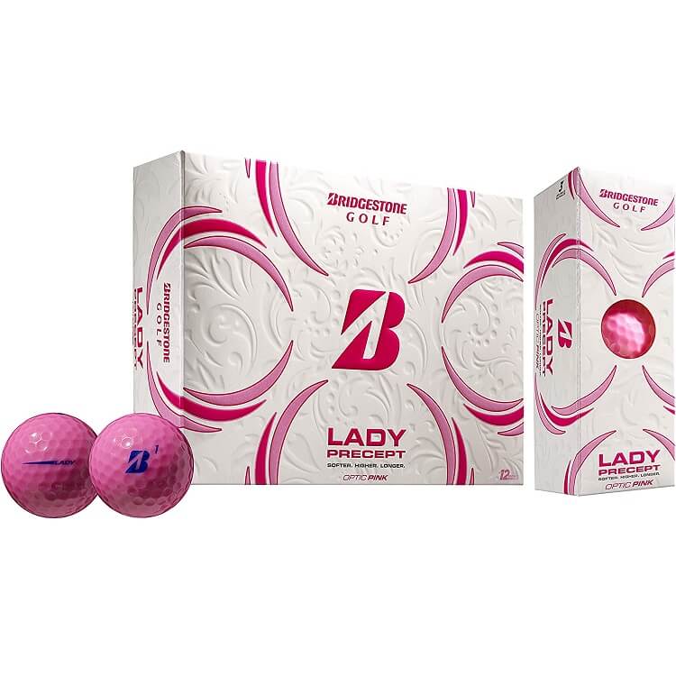 Lady Precept