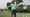 padraig harrington on tee box in golf originals